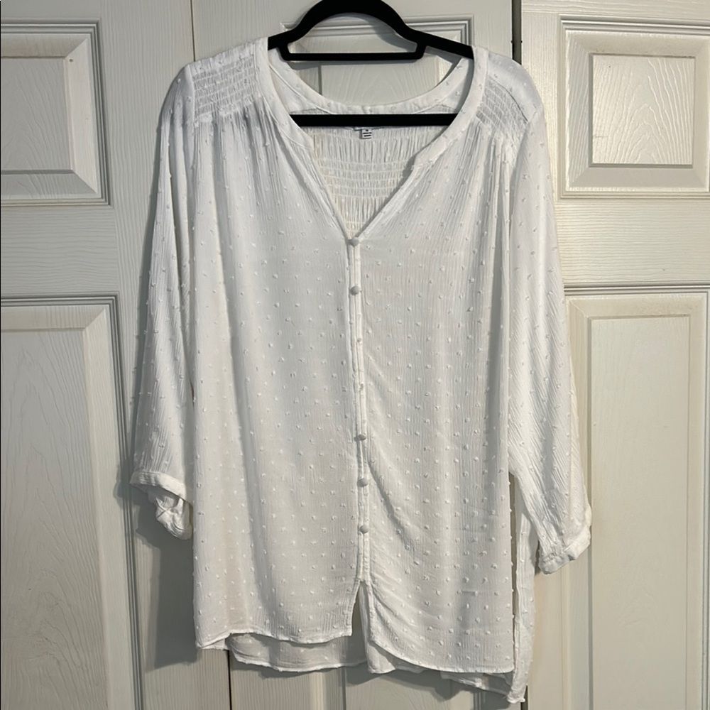 ROSE & OLIVE Size 1X Cream Blouse Smocked Swiss Dot V-Neck Gauzy Semi-Sheer